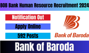 BOB Bank Human Resource Recruitment 2024