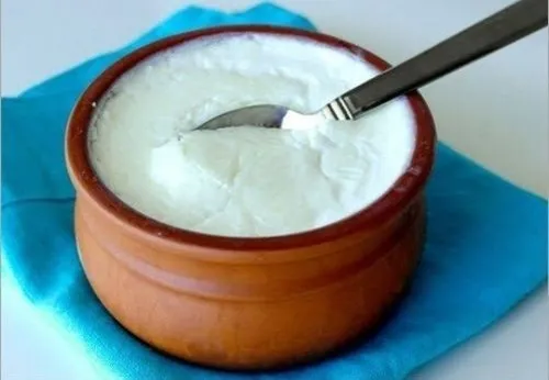 dahi