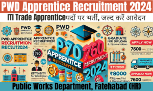 PWD Apprentice Recruitment 2024