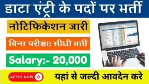 Data Entry Work From Home Job