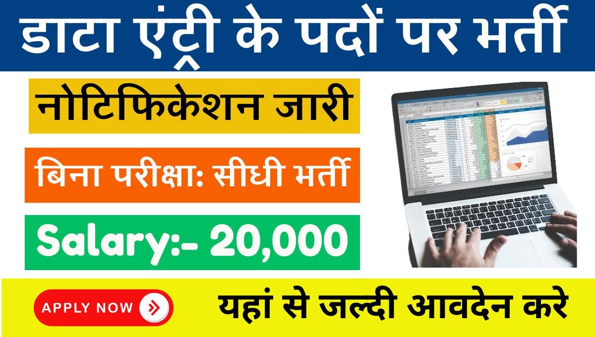 Data Entry Work From Home Job