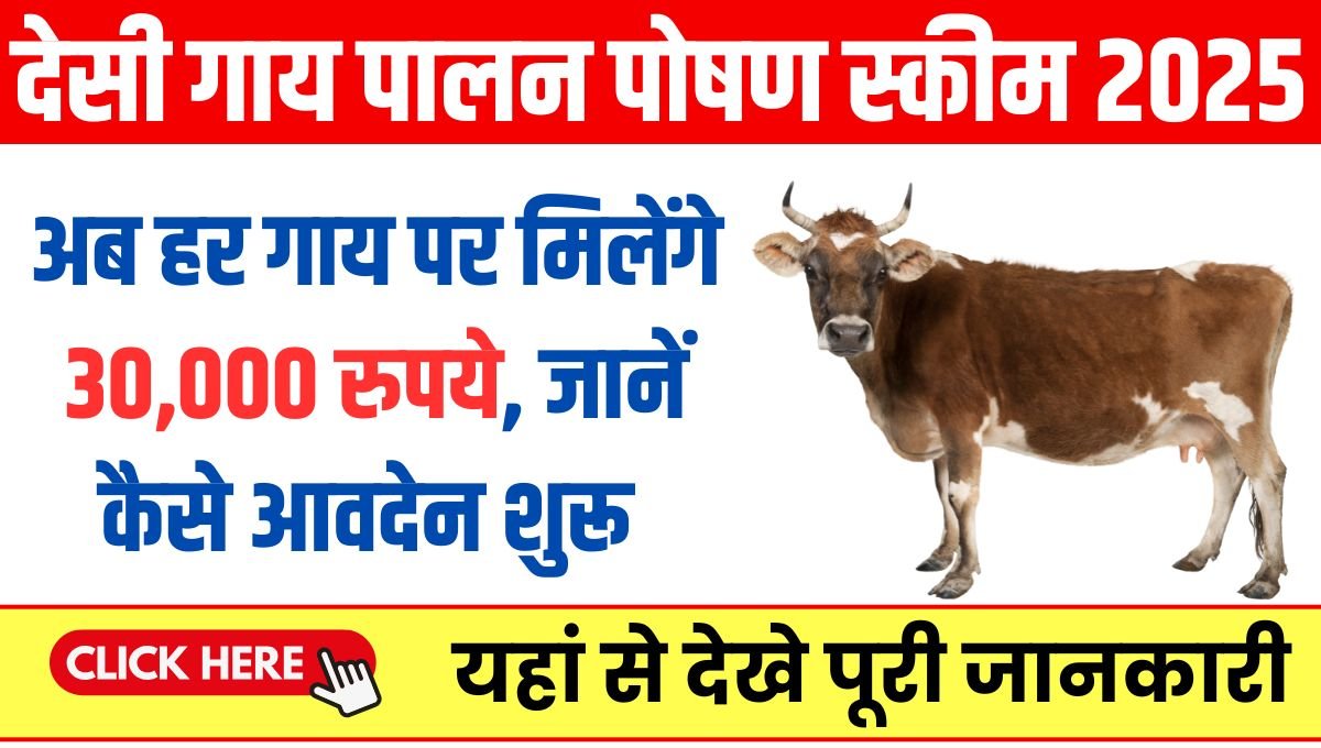 Desi Cow Palan yojana